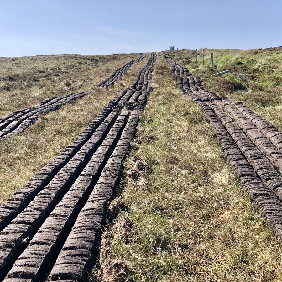 Peat drying in a stack on a hillside